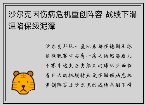 沙尔克因伤病危机重创阵容 战绩下滑深陷保级泥潭
