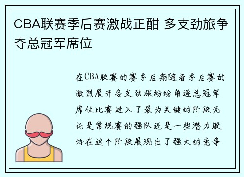 CBA联赛季后赛激战正酣 多支劲旅争夺总冠军席位