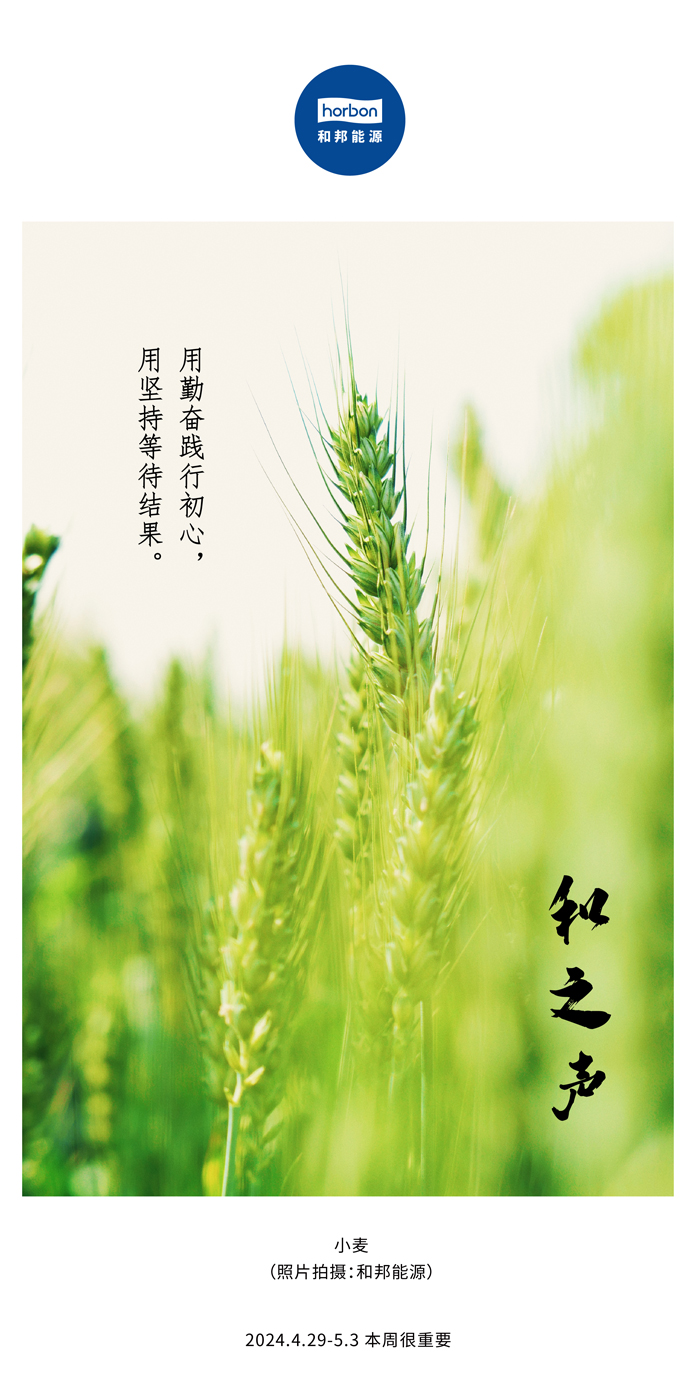 【和之声】用勤奋践行初心，用坚持等待结果。（总第132期）2024.4.29-5中文改小季度推送用.jpg