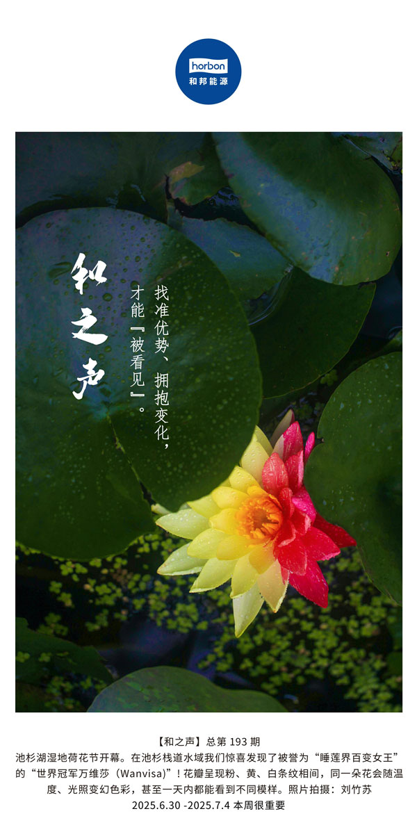 【和之声】找准优势、拥抱变化，才能“被看见”。(总第193期）--2025.6中文导出季度推送用.jpg