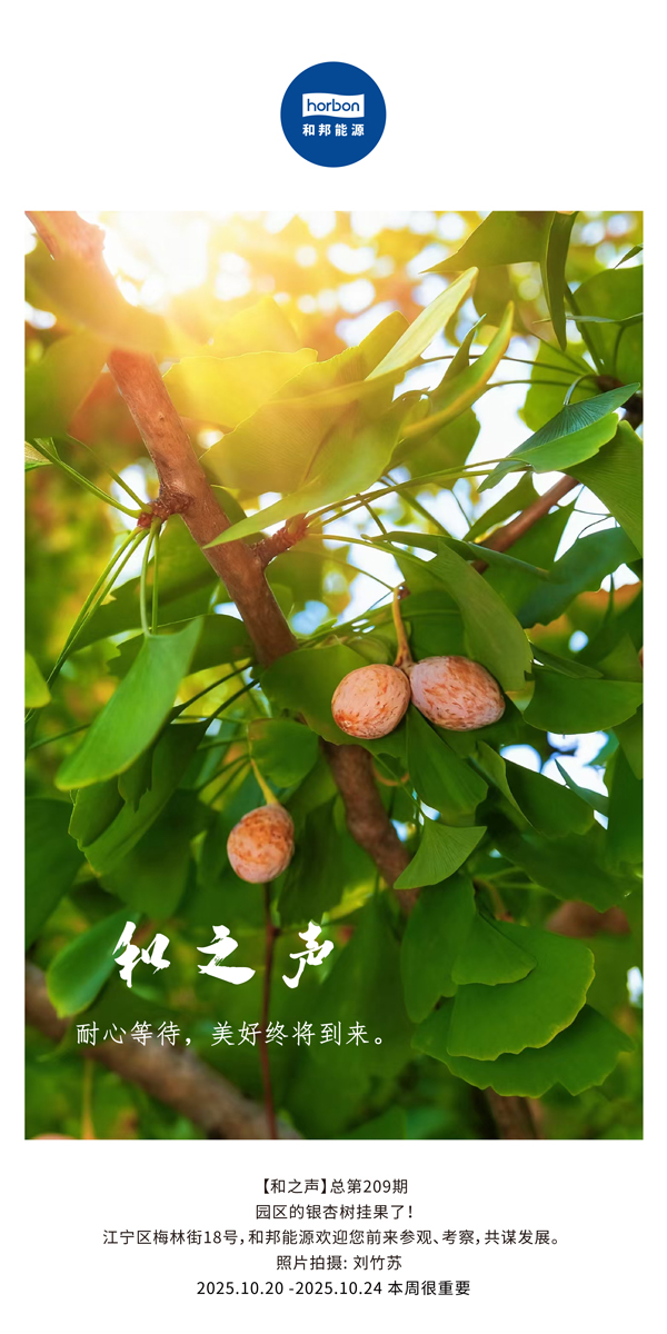 【和之声】耐心等待，美好终将到来。-(总第209期）2025.10.20中文导出季度推送用.jpg