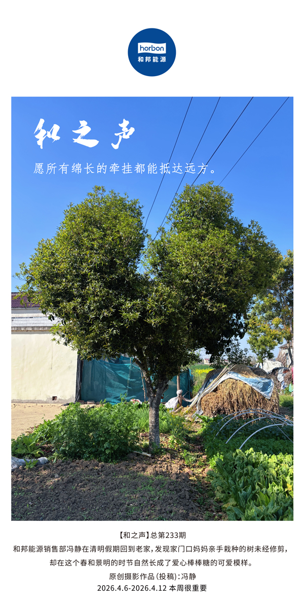 【和之声】愿所有绵长的牵挂都能抵达远方。(总第233期）-2026.4.6中文导出季度推送用.jpg